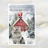 Maine Coon Cat Christmas Card