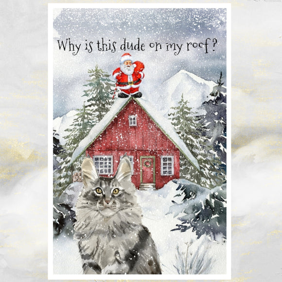 Maine Coon Cat Christmas Card