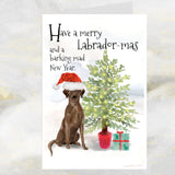 brown labrador dog christmas card