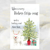 bichon frise christmas card